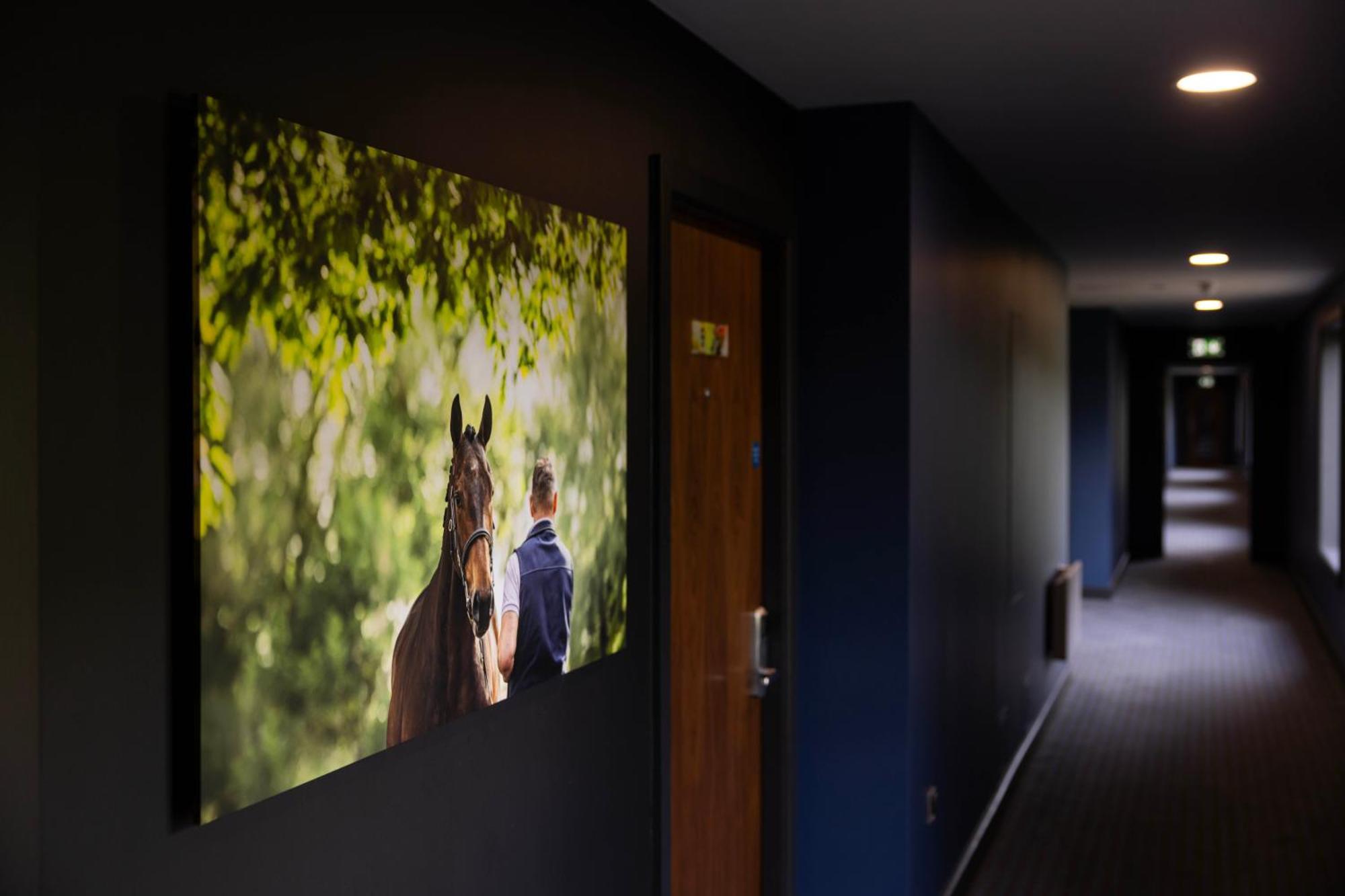 The Club Hotel At Goffs Naas Eksteriør billede